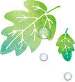 葉イラスト1