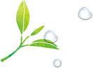 葉イラスト3