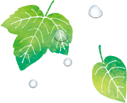 葉イラスト4