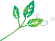 葉イラスト5